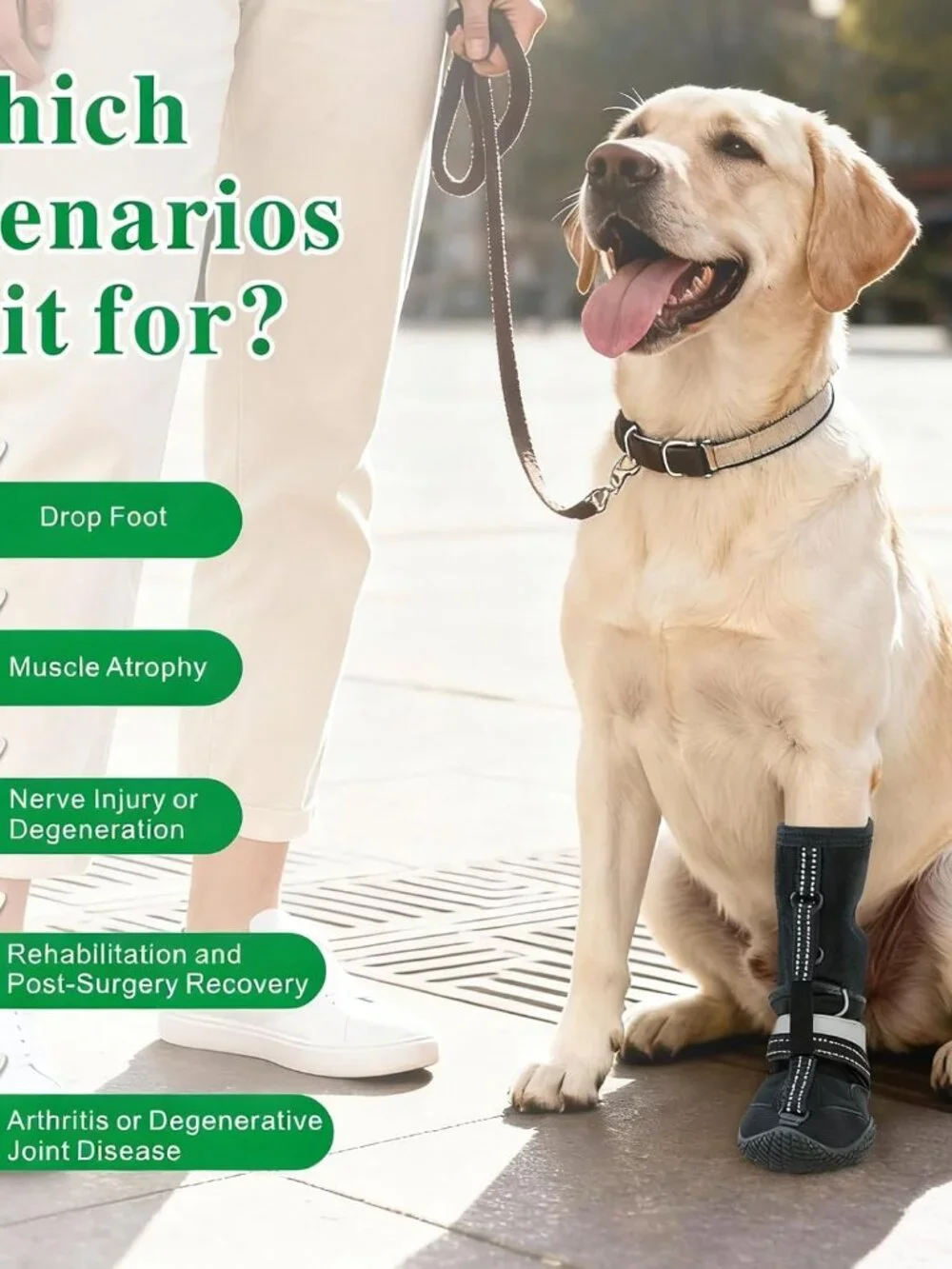Idepet Dog Drop Foot Brace Strap On (No Knuckling Boot Brace)